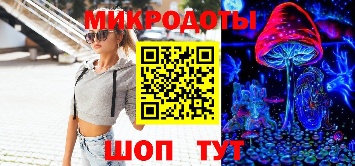 Псилоцибиновые грибы Psilocybe Надым