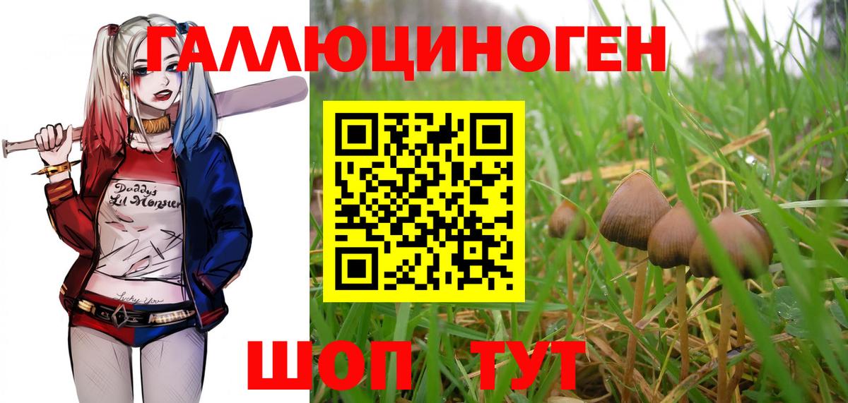 как найти   Вход с VPN  Псилоцибиновые грибы прущие грибы  Надым  Галлюциногенные грибы Psilocybine cubensis 